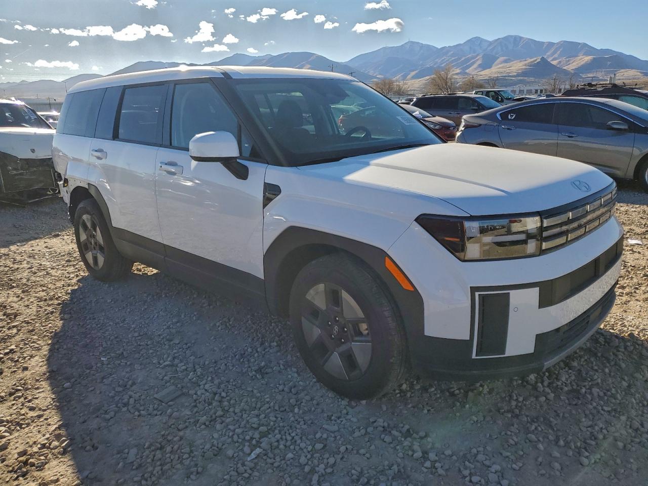 Hyundai SANTA FE Se Image 2