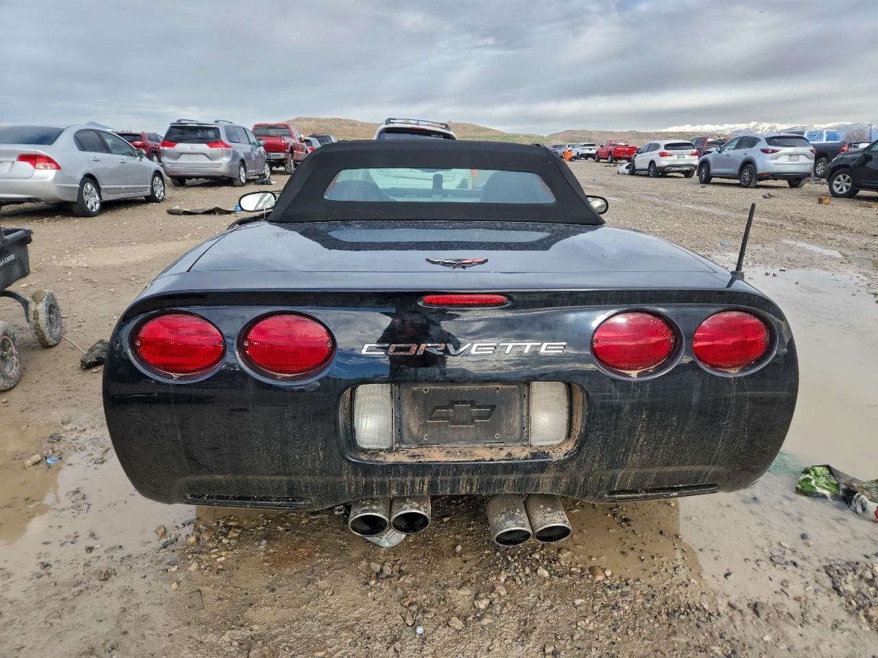 Chevrolet Corvette Image 7