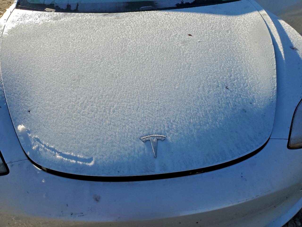 Tesla Model 3 Image 12