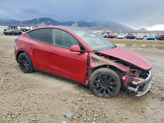 Tesla Model Y Image 3