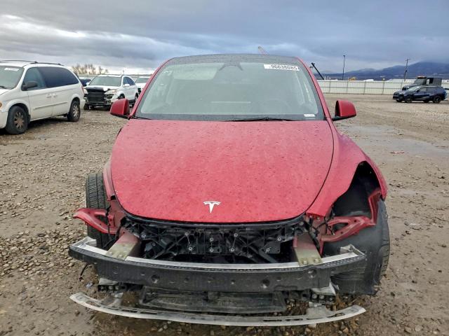 Tesla Model Y Image 4