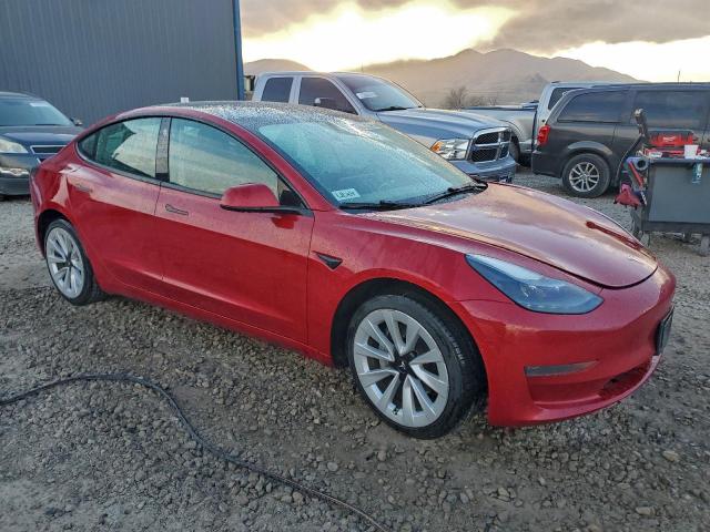 Tesla Model 3 Image 7