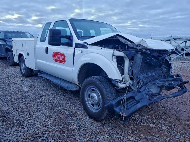 Ford F-250 Super Duty Image 2