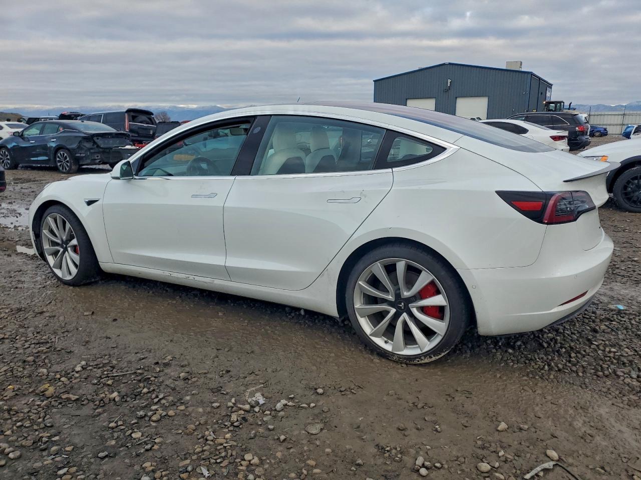 Tesla Model 3 Image 3