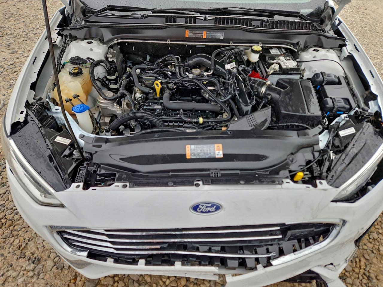 Ford Fusion Sel Image 12