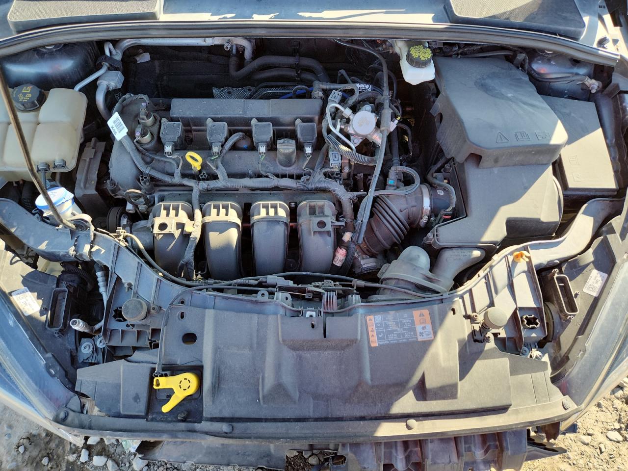 Ford Focus Sel Image 12