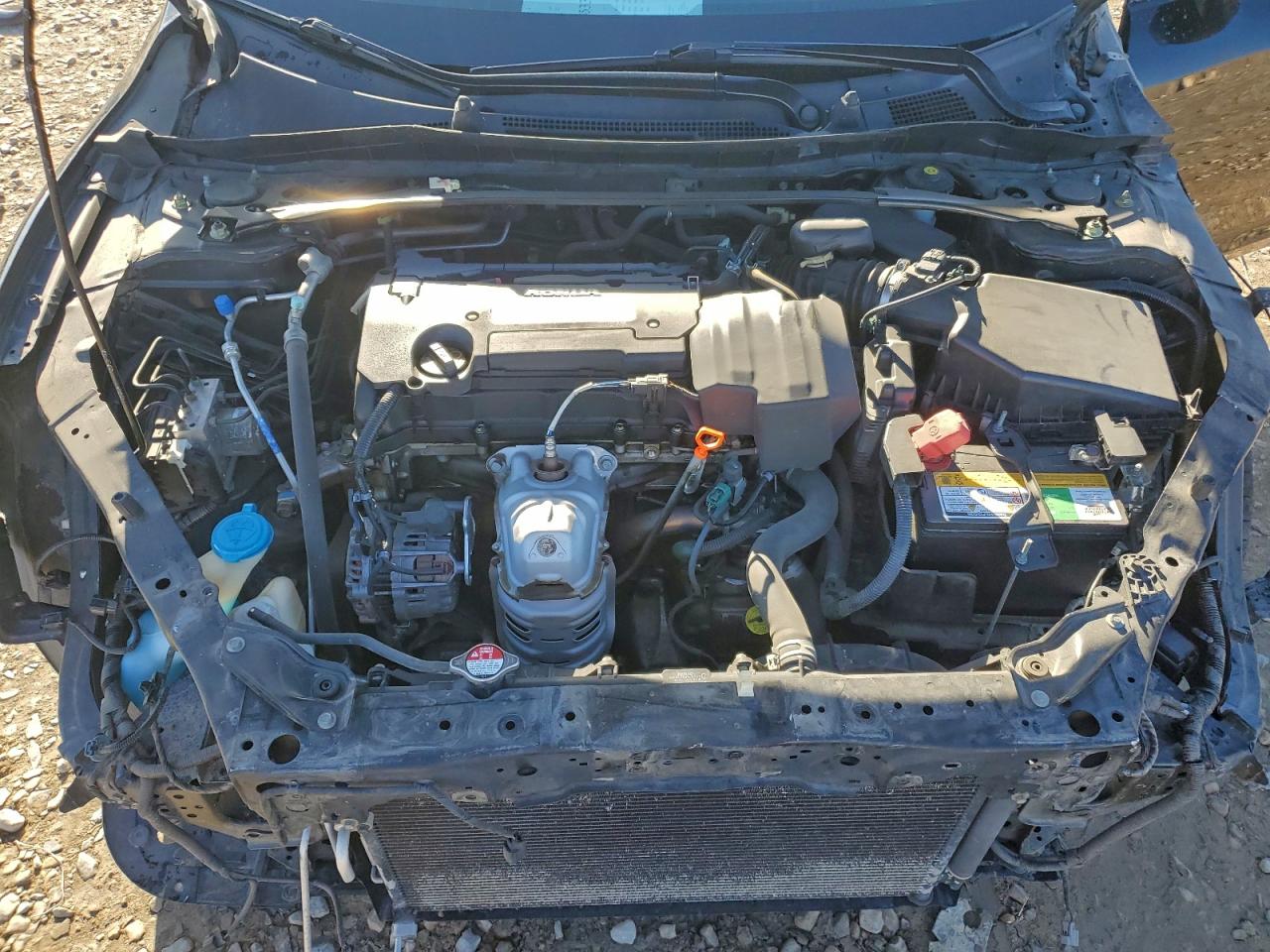 Honda Accord Exl Image 7