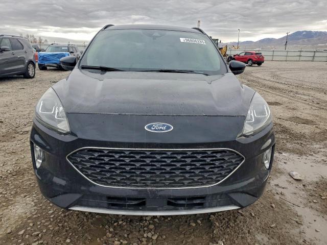 Ford Escape Sel Image 7