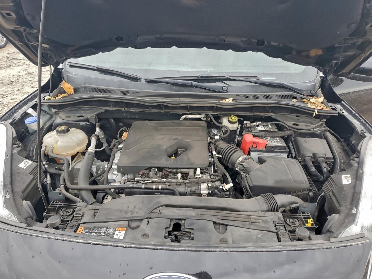 Ford Escape Sel Image 9