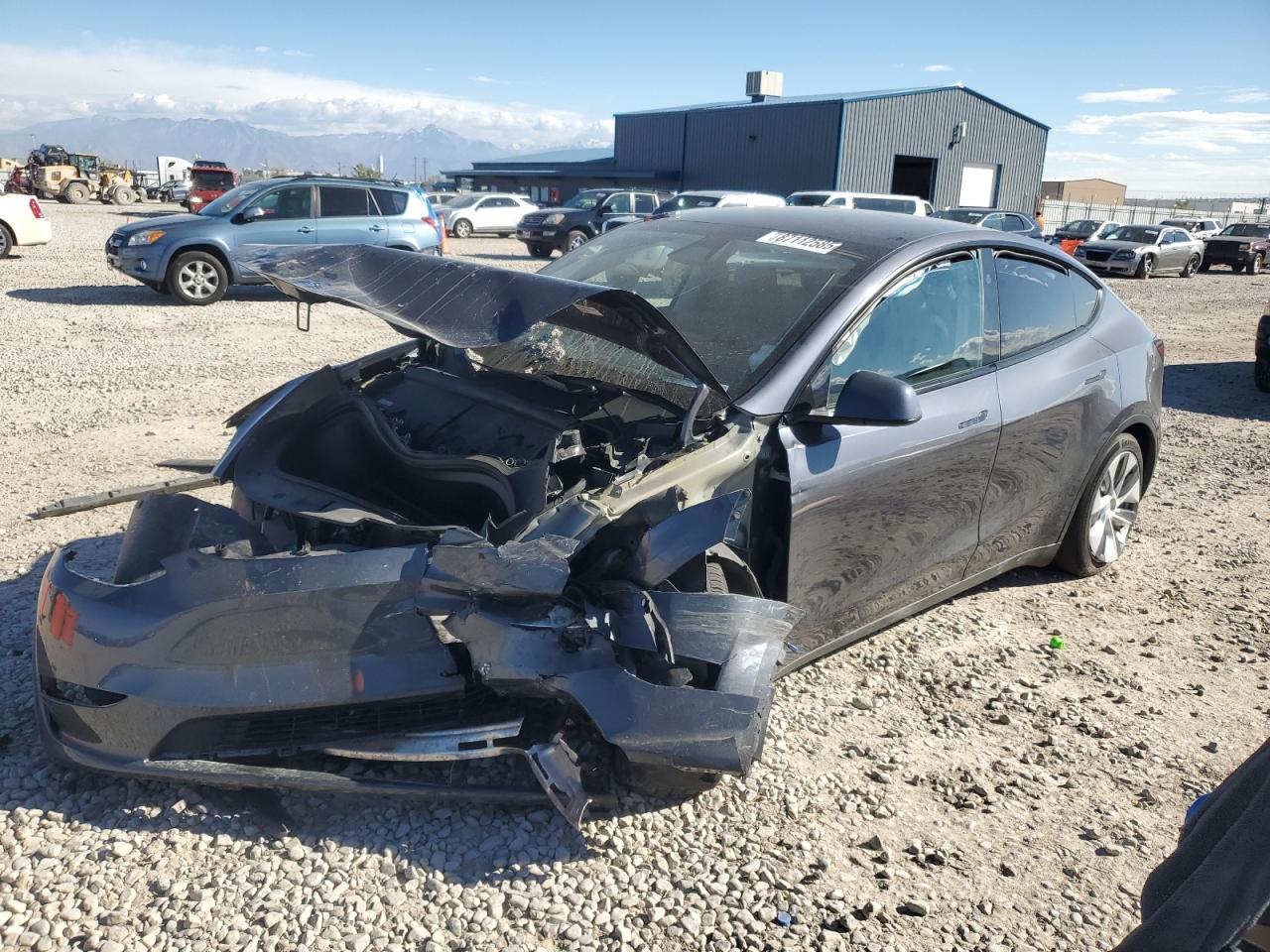 Tesla Model Y Image 1