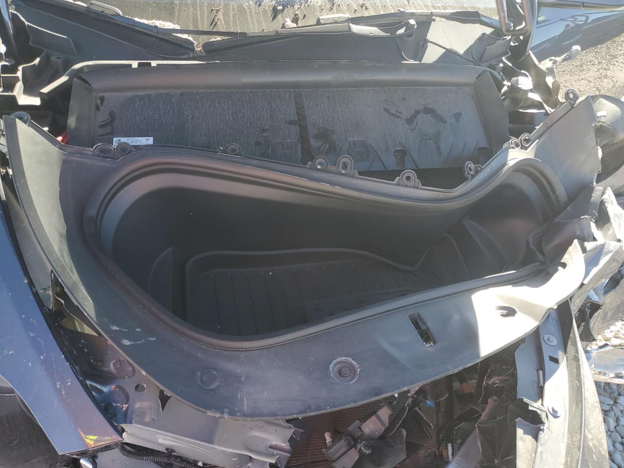 Tesla Model Y Image 13