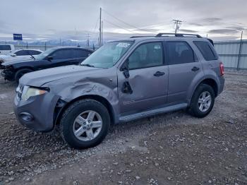  Salvage Ford Escape