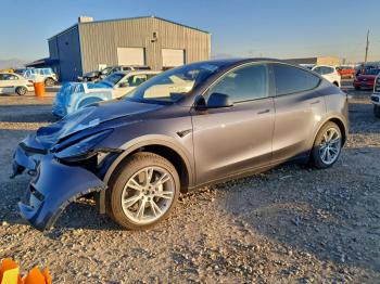  Salvage Tesla Model Y