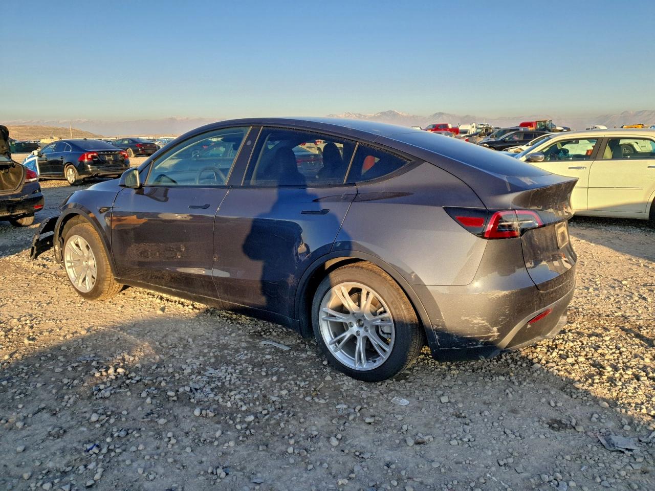 Tesla Model Y Image 2