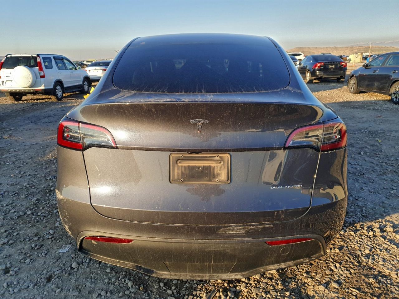 Tesla Model Y Image 7