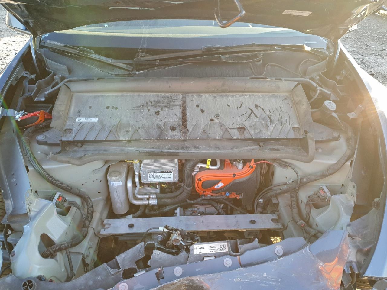 Tesla Model Y Image 10