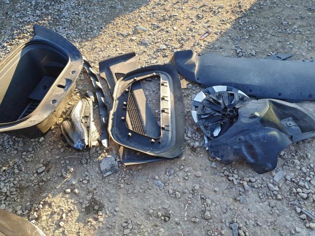 Tesla Model Y Image 13