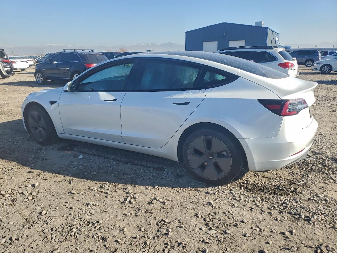 Tesla Model 3 Image 5
