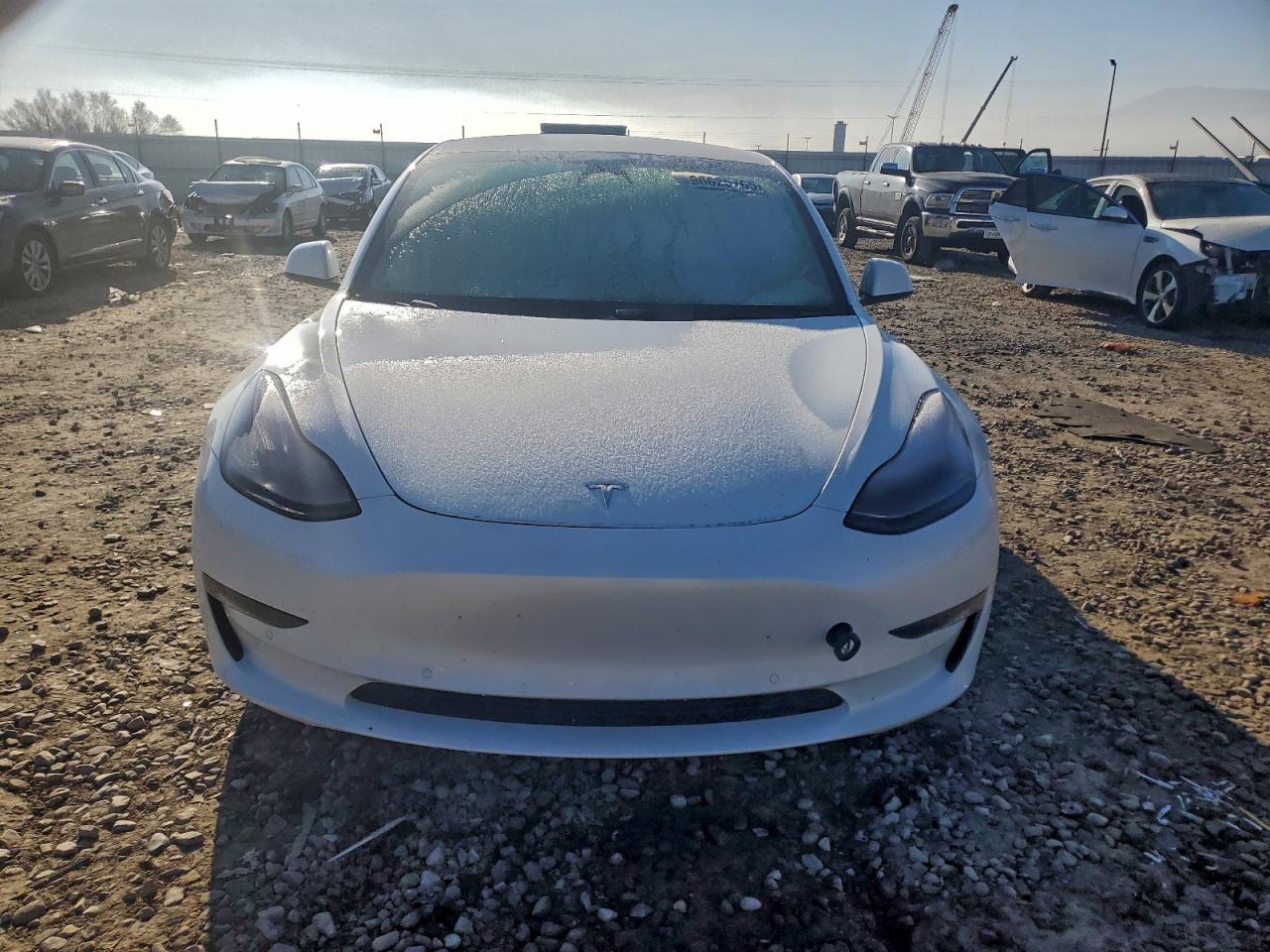 Tesla Model 3 Image 6