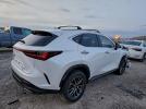 Lexus NX 350h Image 10