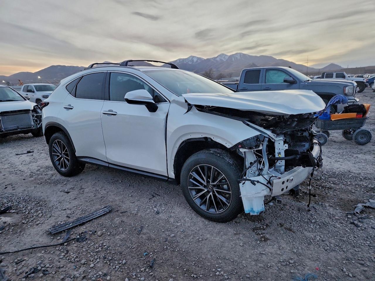 Lexus NX 350h Image 2