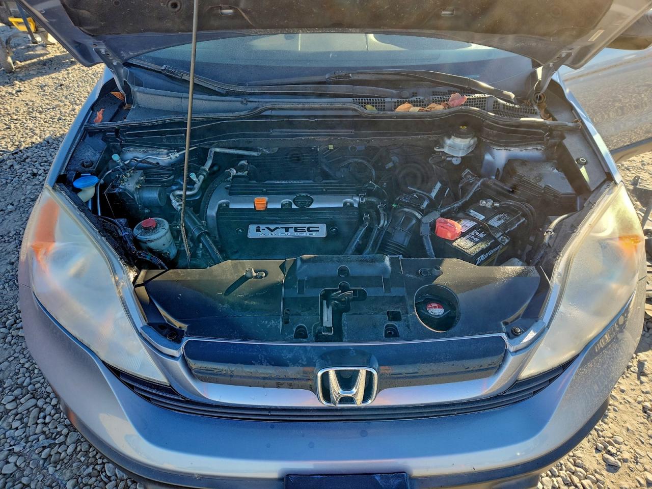 Honda Crv Lx Image 2