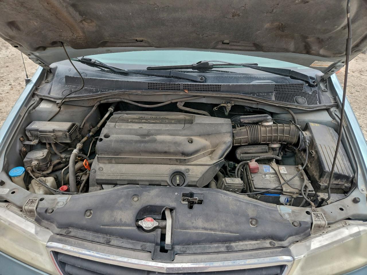 Honda Odyssey Exl Image 7