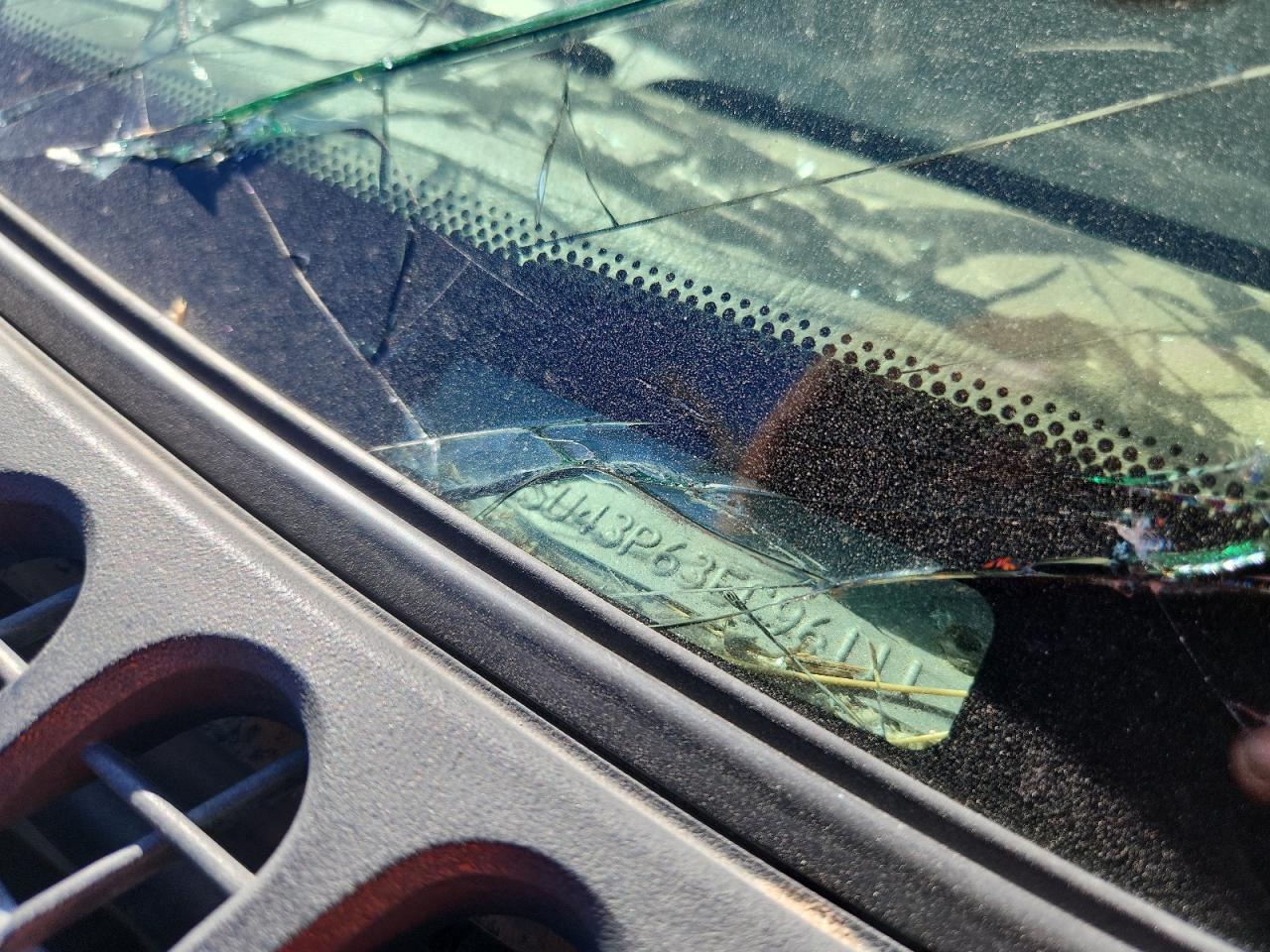 Ford Excursion Limited Image 4