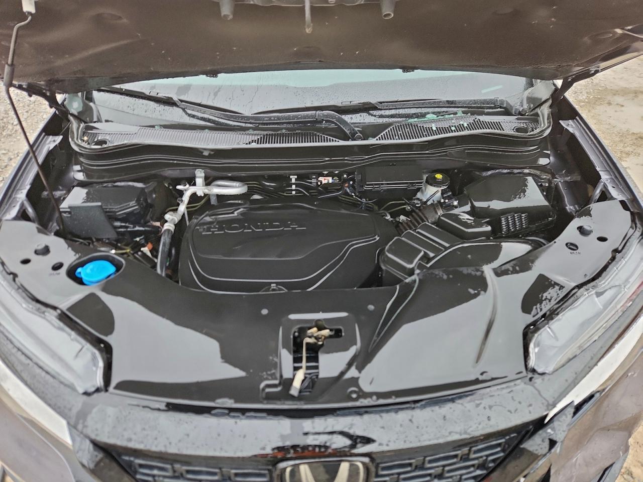 Honda Passport Touring Image 5