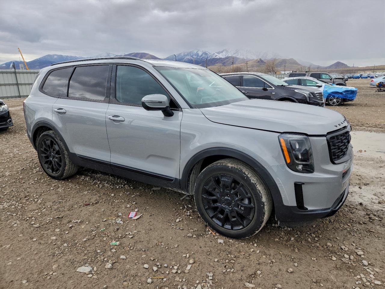 Kia Telluride Ex Image 11