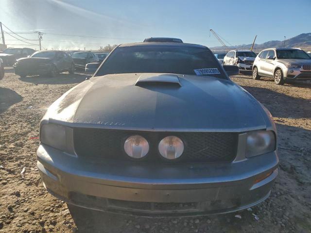 Ford Mustang Gt Image 3